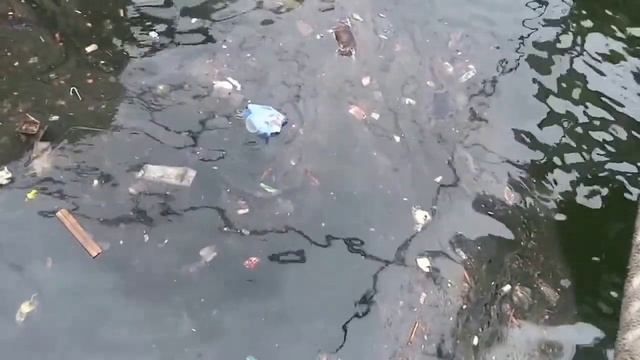 Плач по бухте Золотой рог.