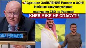 Срочное ЗАЯВЛЕНИЕ России в ООН! Небензя  Назвал Чем закончиться СВО для Киева!Зеленский Спасайся