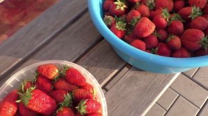 Опыт выращивания клубники