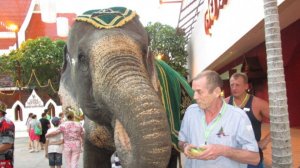 THAILAND 2017-02-12 Таиланд глазами туриста