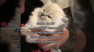 жиза