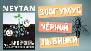 Зоогумус чёрной львинки - это не просто органическое удобрение.