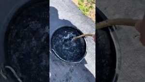 Как снизить РН воды для полива голубики🫐🫐🫐, в домашних условиях!!!