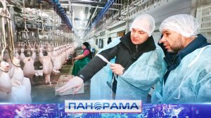 «Доступные продукты для жителей ДНР», –  Денис Пушилин посетил Шахтерскую птицефабрику