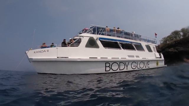 Body Glove Snorkel & Dolphin Sail & More – Kailua/Kona, Hawaii – TVS Ep. 41 смотреть онлайн