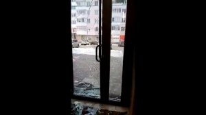 Лучшие приколы подборка приколов