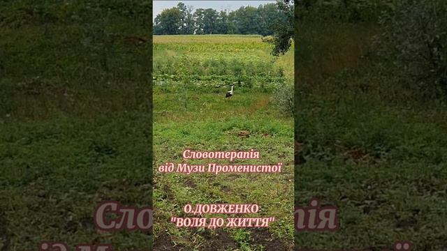Словотерапія від Музи Променистої. Олександр Довженко. Оповідання "Воля до життя"