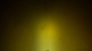 Подводная охота на Днепре. 2020