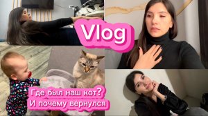VLOG: УРААА ОН ВЕРНУЛСЯ!