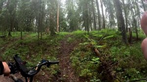 Курьерский электровелосипед в лесу