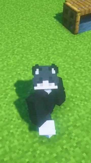 КАК ПОСТРОИТЬ КЛАССНЫЙ КОШАЧИЙ ДОМИК В МАЙНКРАФТЕ? #minecraft #shots смотреть онлайн