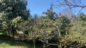 для ретрита.mp4