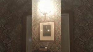 Паб-музей Black Swan- Черный лебедь. В  подвалах Соляного дома  16-17 веков