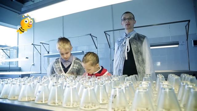 Умняша берегите лес смотреть онлайн