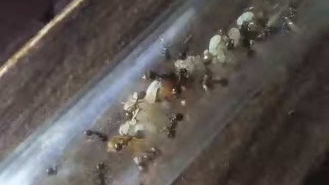 Рождение супер "Солдата". смотреть онлайн