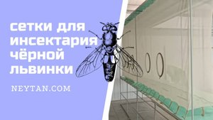 Инсектарий NEYTAN "Сетки для мух"