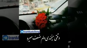 Байди ерони