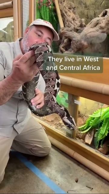 Don’t try this at home смотреть онлайн