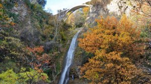 СТОИТ ПОСЕТИТЬ! Ботанический сад в Тбилиси, Грузия.