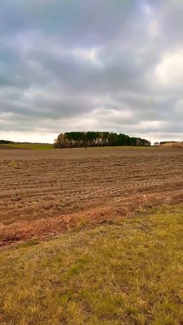 Романтика загорода смотреть онлайн