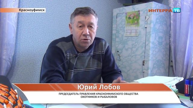 Енот СХ 2 16 10 14 смотреть онлайн