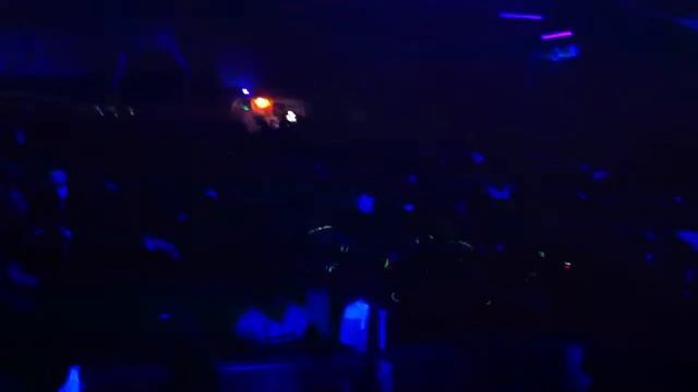 Psy Fright Night 3.0 ( Dust Live Part 3 "Koala") смотреть онлайн