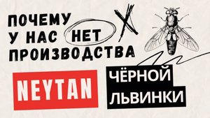 Что случилось с Neytan? Почему у команды больше нет своего производства.