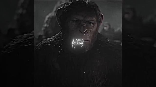 Caesar Weak. | KOBA | Planet of the apes edit | MAREUX - KILLERS (SLOWED) смотреть онлайн