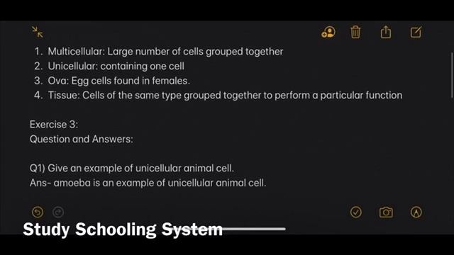 Online Exercises on Unit # 1 Unicellular and Multicellular Organisms From Sec: Sc 1 by Dr.Inshall смотреть онлайн