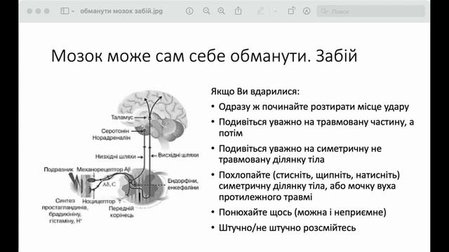 Етюди. Обманути мозок. Забій смотреть онлайн