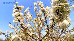 Навруз олихаи хусни сол ва фасли Бахор фасли зебои сол аст 2021 Наврузи байналмиллали муборак