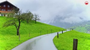 Дождливая прогулка по сельской местности Швейцарии! Гриндельвальд. Красивая швейцарская деревня