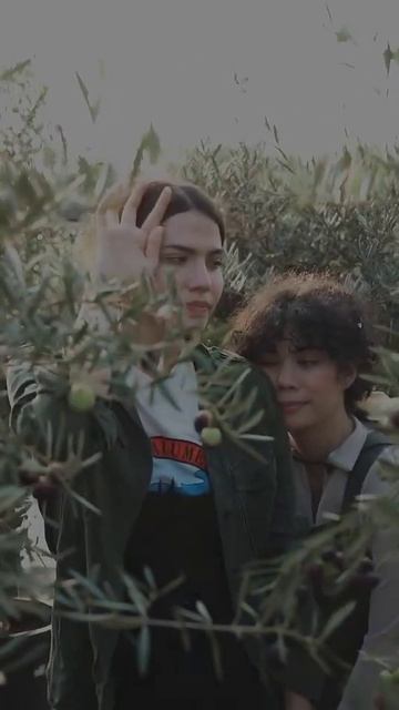 What fruit trees grow well together? смотреть онлайн