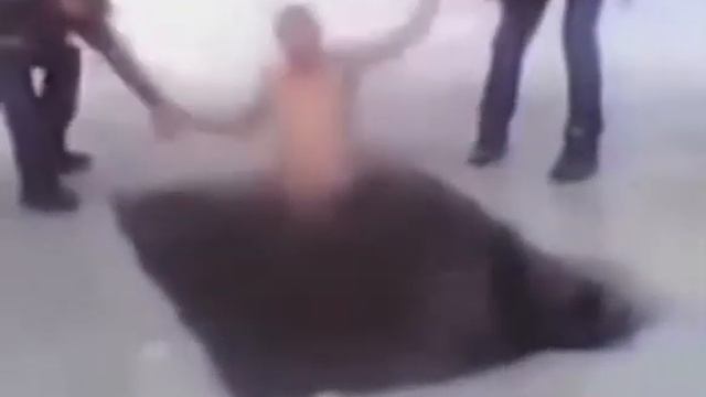 Морж. смотреть онлайн