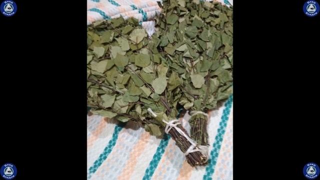 34 Предмета Силы, Которые Должны Быть в Каждом Доме 🏡 Часть 2 🛡️🧿 Эзотерика-Влад Владов ♠ смотреть онлайн