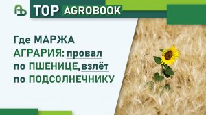 Где маржа агрария: провал по пшенице, взлёт по подсолнечнику | TOP Agrobook: обзор аграрных новостей