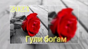 RAZIK FT SHAH   🥀Э ГУЛИ БОГАМ🥀2023