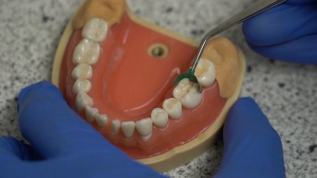 Chemistry in Captivity - Dental Fillings смотреть онлайн