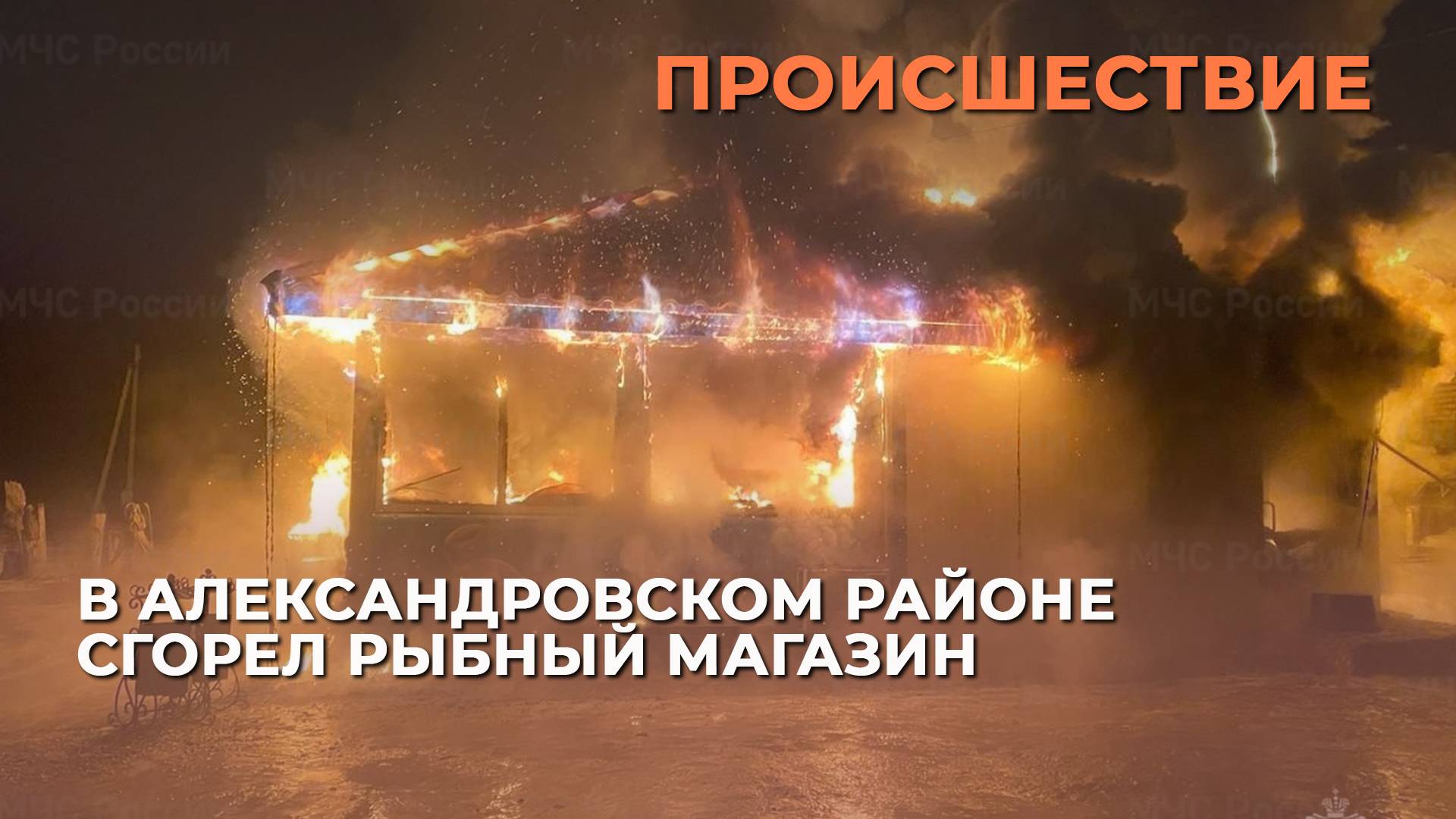 В Александровском районе сгорел рыбный магазин