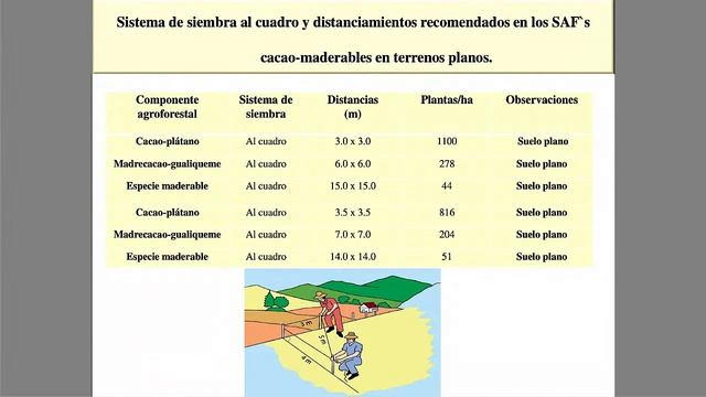 Componentes y diseño de un SAF mejorado. смотреть онлайн