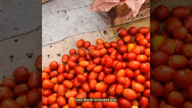 Afghanistan Tomato | Tomato Price | Tomato Wholesale Prices | Grand Vegetables Market Islamabad смотреть онлайн