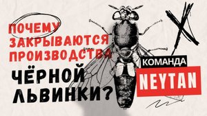 Закрываются производства чёрной львинки. В чём причина?