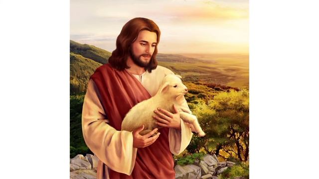 Вы как овцы блуждающие, не имеющие пастыря,скорее вернитесь к Пастырю! смотреть онлайн