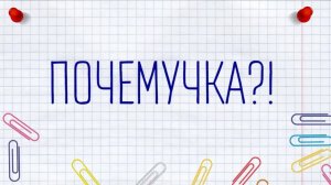 Почемучка？!