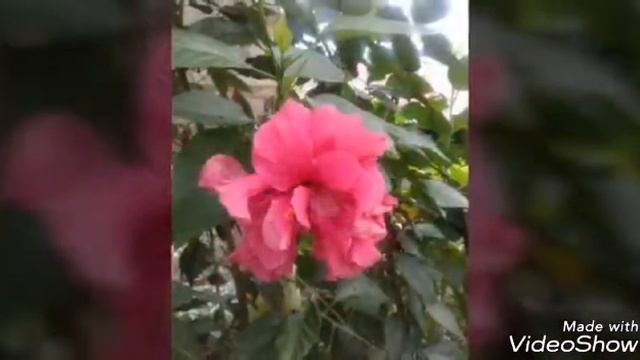 feliz año nuevo 2018 смотреть онлайн