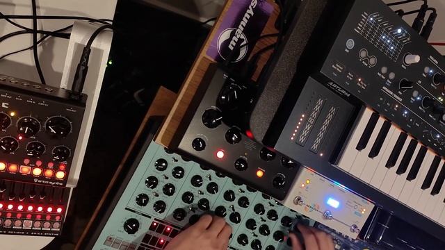 Dub 2042 - Erica Synths Perkons Bassline LXR-02 Zen Delay MiniFreak Microcosm смотреть онлайн