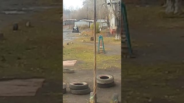 Мусора смотреть онлайн