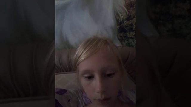 почему хомячиха съела хомячат смотреть онлайн