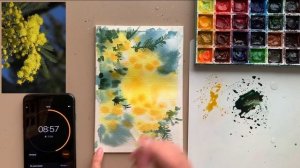 Рисуем мимозу за 20 минут. Акварельный челлендж.