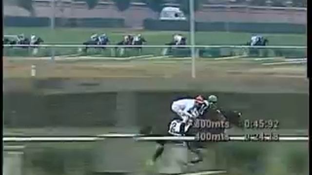 Papelon - Cl. Club Hipico De Santiago Falabella G1 смотреть онлайн